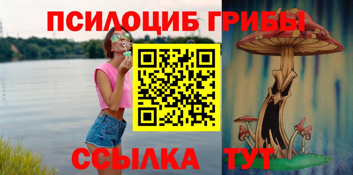 Солнечногорск  Псилоцибиновые грибы Psilocybine cubensis  цена   Вход с VPN  Псилоцибиновые грибы прущие грибы 